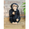 Monkey McGuinness