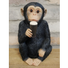 Monkey McGuinness