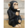 Monkey McGuinness