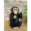 Up Yours Monkey McGuinness