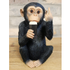 Up Yours Monkey McGuinness