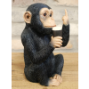 Up Yours Monkey McGuinness
