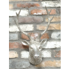 Silver Stag Head