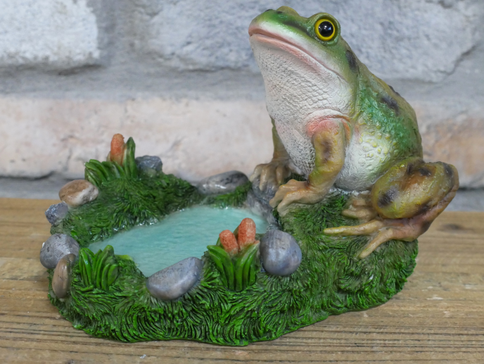 Frog