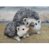 Hedgehogs