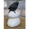 Bird Stood On Pebbles