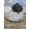 Hedgehogs On Rock