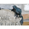 Frogs On A Rock