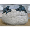 Frogs On A Rock
