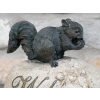 Squirrel On A Rock