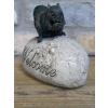 Squirrel On A Rock