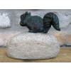 Squirrel On A Rock