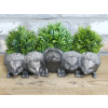 Hedgehogs Planters