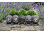 Hedgehogs Planters