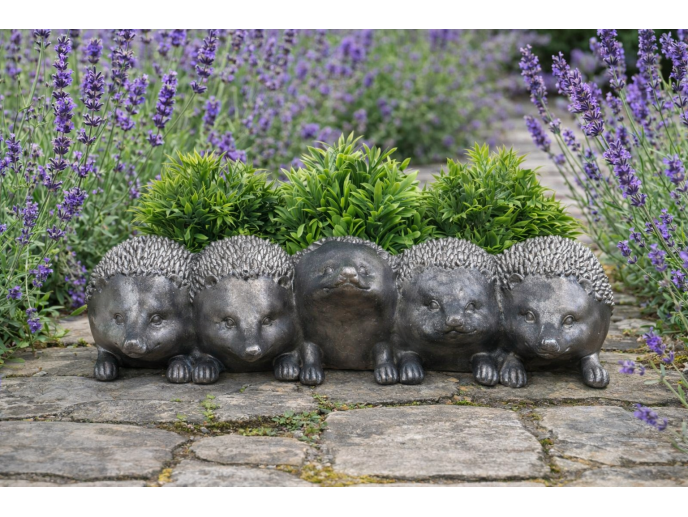 Hedgehogs Planters