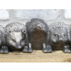Hedgehogs Planters