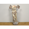 Lady With Wings