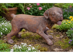 Small Cast Iron Rusty  Dog