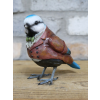 Blue Bird In Suit