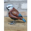 Blue Bird In Suit