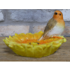Robin On Sunflower Feeder