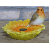 Robin On Sunflower Feeder