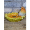 Robin On Sunflower Feeder