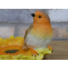 Robin On Sunflower Feeder