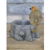 Robin Birdfeeder