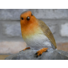 Robin Birdfeeder
