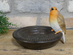 Robin Birdfeeder