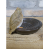 Robin Birdfeeder
