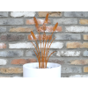 Rusty Stake