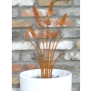Rusty Stake