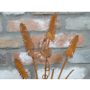 Rusty Stake