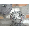 Bird Feeder