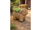 Highland Cow Planter