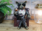 Dog In A Chair