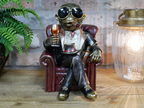 Monkey In A Chair