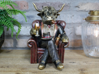 Highland Cow In A Chair