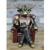 Highland Cow In A Chair