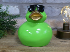 Cool Duck - Green - Small