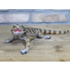 Lizard