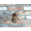 Rusty Spider Wall Decoration