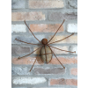 Rusty Spider Wall Decoration