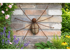 Rusty Spider Wall Decoration