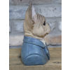 Small Frenchie Dog Bust