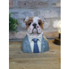 Small Bulldog Bust