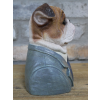 Small Bulldog Bust