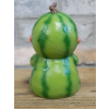 Baby Watermelon